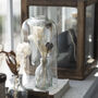 Glass Pharmacy Vase/Candleholder, thumbnail 1 of 4