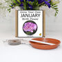 Unusual Birthday Gardening Gift. January Birth Flower, thumbnail 2 of 6