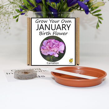 Unusual Birthday Gardening Gift. January Birth Flower, 2 of 6