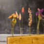 Pink Dried Flower Display Piece, thumbnail 2 of 3