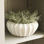 Ribbed White Decorative Bowl, thumbnail 3 of 5