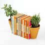 Living House Plant Bookends, thumbnail 1 of 4