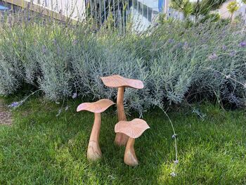 Set Of Three Wooden Mushrooms For Garden, 3 of 12