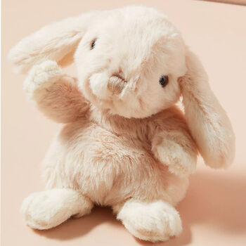 Baby Bunny Soft Toy, 6 of 6
