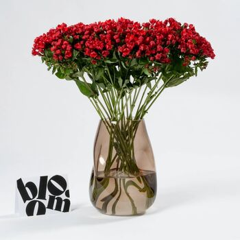 Royal Red Bouvardia Fresh Flower Bouquet, 3 of 3
