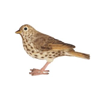 Lifelike Song Thrush Bird Ornament Indoor Outdoor Gift, 4 of 6