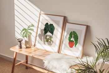 Begonia Houseplant Illustrated A4 Plant Art Print, 6 of 12