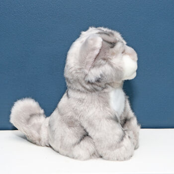 Mini Grey Tabby Cat Toy With Personalised Case, 3 of 3