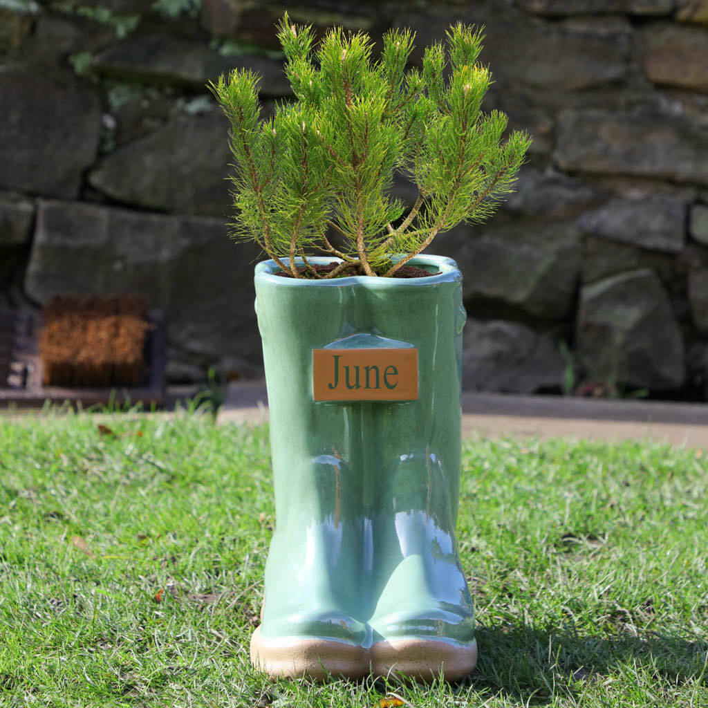 Personalised Green Ceramic Garden Welly Planters By Dibor ...