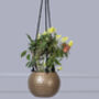 Golden Hanging Planters Set Of Two, thumbnail 6 of 10