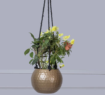 Golden Hanging Planters Set Of Two, 6 of 10