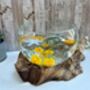 Large Driftwood Molten Glass Bowl Fruit Nuts Food Bowl Handmade Decor 24 28cm, thumbnail 5 of 9