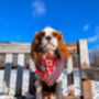 Frayed Red Boho Cherokee Bandana Scamps, thumbnail 4 of 4