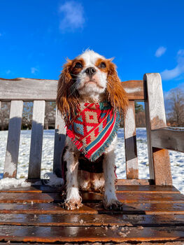 Frayed Red Boho Cherokee Bandana Scamps, 4 of 4