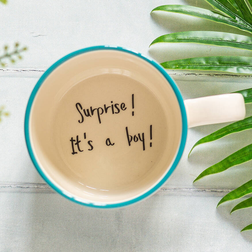 Gender Reveal Hidden Message Mug By Kate Ceramics 5045