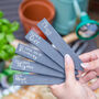 Cheeky Herb Slate Markers, Set Of Five, thumbnail 1 of 5