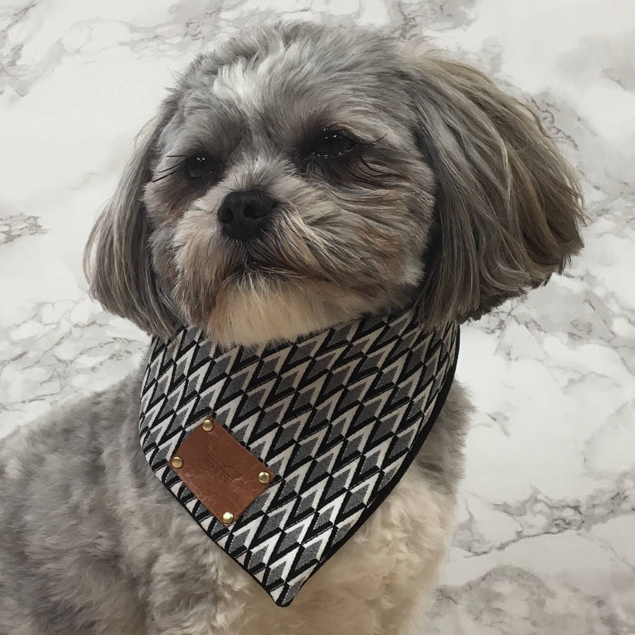 Hotsy Totsy Monochrome Luxury Dog Bandana Neckerchief By The
