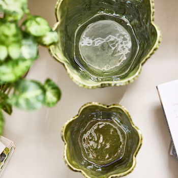 Set Of Two Botanical Fern Leaf Planters, 2 of 4