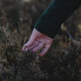 Winter Foraging Walk For One In The South Downs, thumbnail 3 of 12