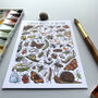 Garden Insects Of Britain Watercolour Postcard, thumbnail 9 of 12