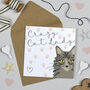 Crazy Cat Lady Card, Multiple Cat Designs, thumbnail 7 of 9
