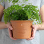 Personalised Message Herb Or Flower Pot, thumbnail 2 of 5