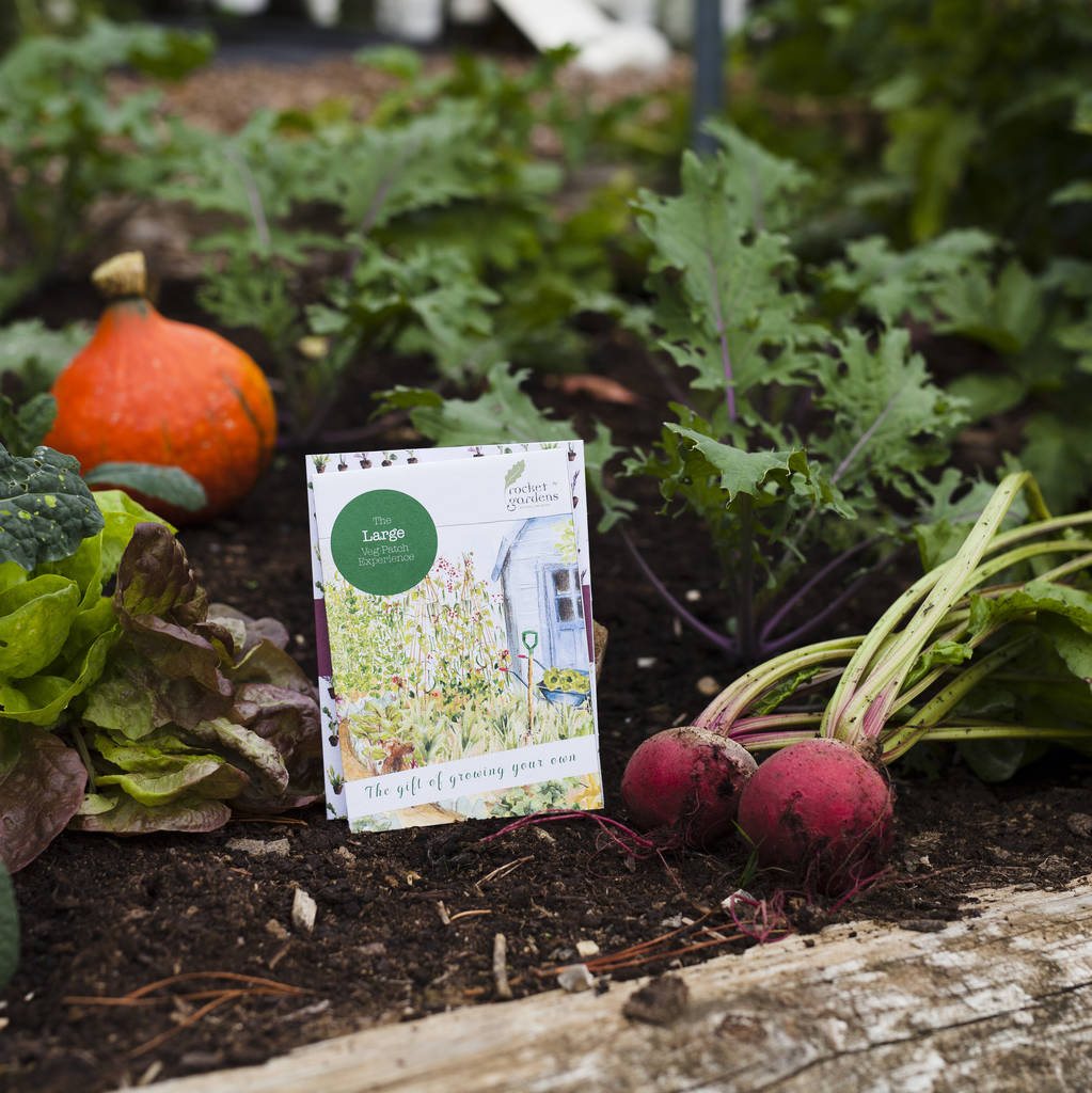 large vegetable patch experience gift voucher by rocket gardens