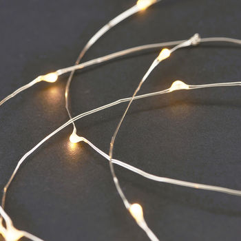Wire Lights Copper Or Silver, 2 of 5