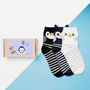 Set Of Three Penguin Family Socks In A Box, thumbnail 1 of 2
