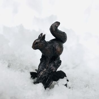 Miniature Bronze Squirrel Sculpture 8th Anniversary, 5 of 10
