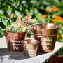 Personalised Set Of Copper Metal Buckets, thumbnail 1 of 2