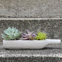 Concrete Wine Bottle Planter Mothers Day Present, thumbnail 5 of 5