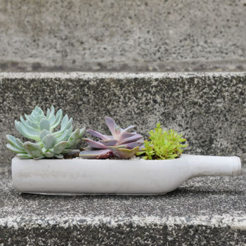 Concrete Wine Bottle Planter Mothers Day Present, 5 of 5