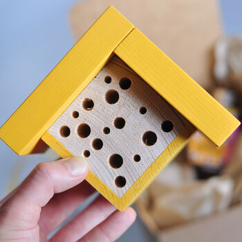 Mini Bee House Gift Set, 3 of 6