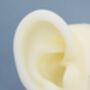 Sterling Silver Small Pair Butterfly Stud Earrings, thumbnail 11 of 12