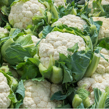 Cauliflower 'Maystar' 12 X Plant Pack, 3 of 5