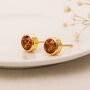 18ct Gold Plated Sterling Silver November Birthstone Stud Earrings – 7mm, thumbnail 3 of 7