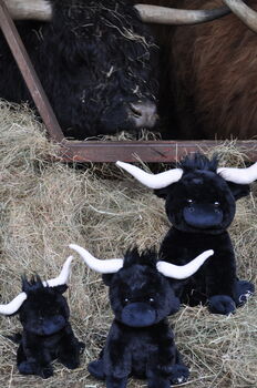 Medium Longhorn Highland Black 23cm Cow With Personalised Heart, 4 of 9