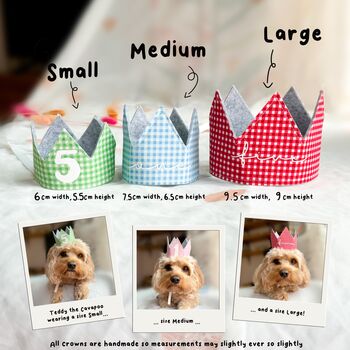 Gingham Dog Birthday Bandana And Hat Set, 11 of 11