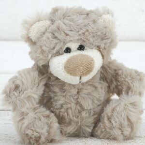Teddy Bear Gifts Notonthehighstreet Com