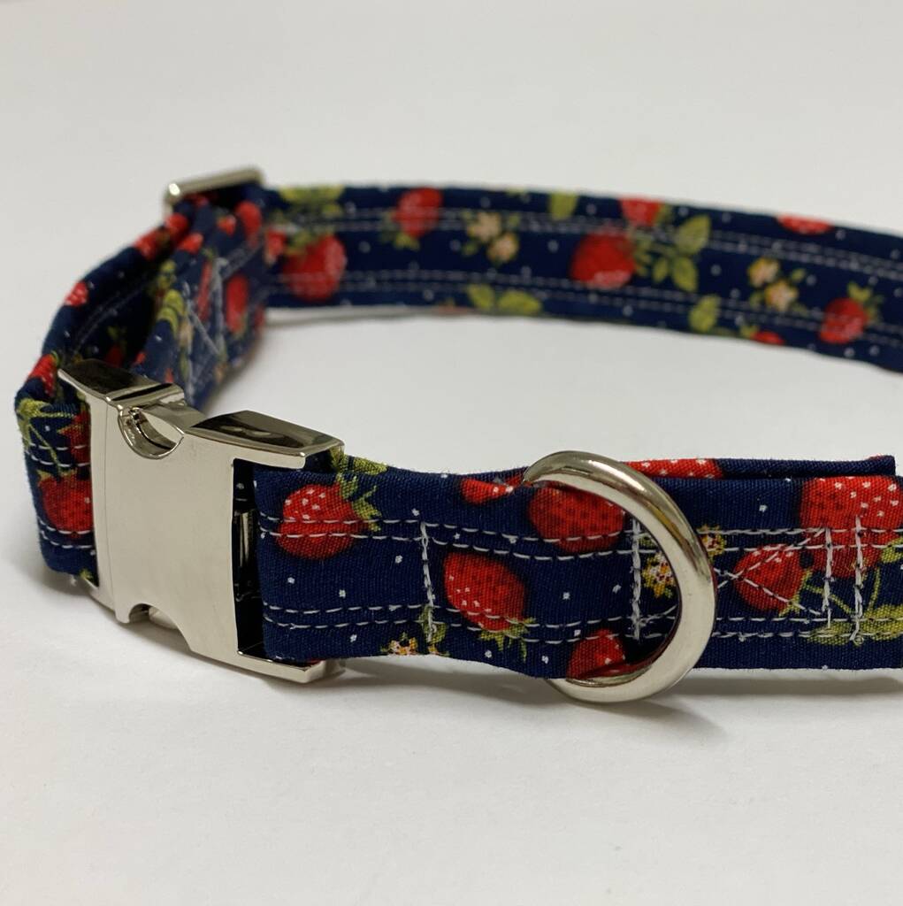 Blue Strawberry Dog Collar By Muddy Paws Accessories