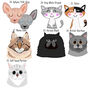 Personalised Cat Hanging Decoration, thumbnail 4 of 8