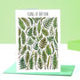 Ferns Of Britain Greeting Card, thumbnail 1 of 7