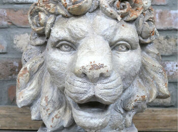 7 Kg Large 41cm Distressed Stone Effect Lion’s Head Planter, 3 of 5