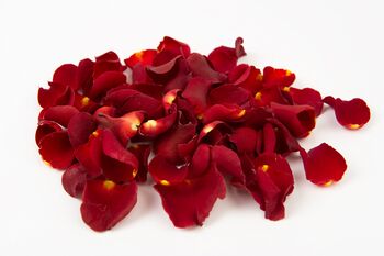 Romantic Red Rose Petals, 7 of 8