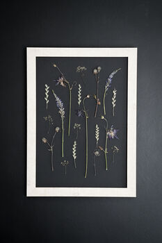 A3 Pressed Flower Art – Nightfall Botanical Arrangement In Sand Frame, 2 of 7