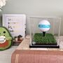 Golf Ball Display Case, thumbnail 9 of 10