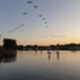 Sunset Paddleboarding Henley Experience For One, thumbnail 2 of 8