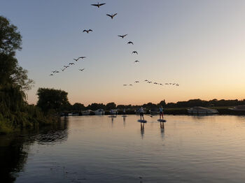 Sunset Paddleboarding Henley Experience For One, 2 of 8