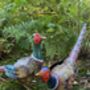 Pair Of Pheasants, thumbnail 7 of 8